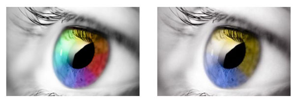 دسترسی پذیری رنگ‌ها در طراحی سایت - اکتااسکریپت